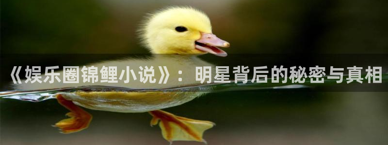永信贵宾会官网：《娱乐圈锦鲤小说》：明星背后的秘密与真相
