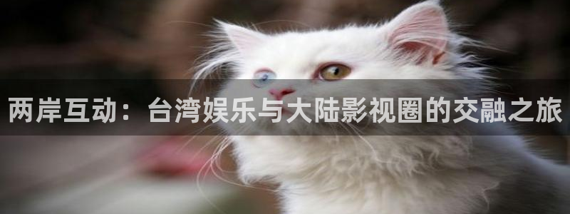 永信贵宾会手机版：两岸互动：台湾娱乐与大陆影视圈的交融之旅