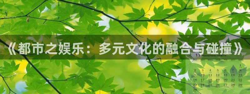 永信贵宾会手机版：《都市之娱乐：多元文化的融合与碰撞》