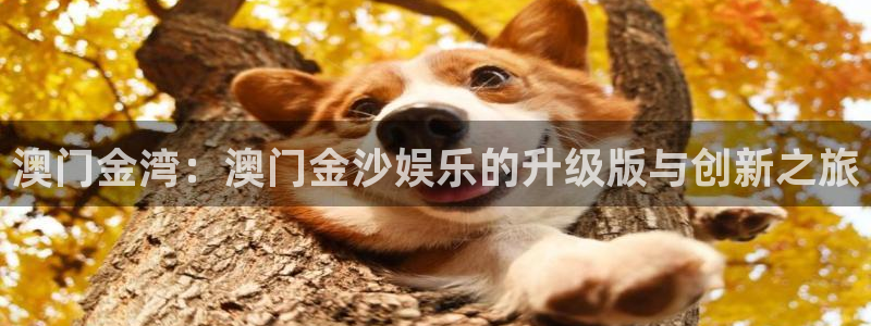 永信贵宾会：澳门金湾：澳门金沙娱乐的升级版与创新之旅