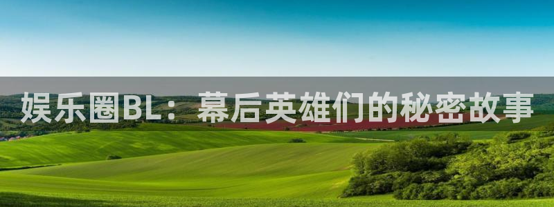 永信贵宾会信誉好不：娱乐圈BL：幕后英雄们的秘密故事